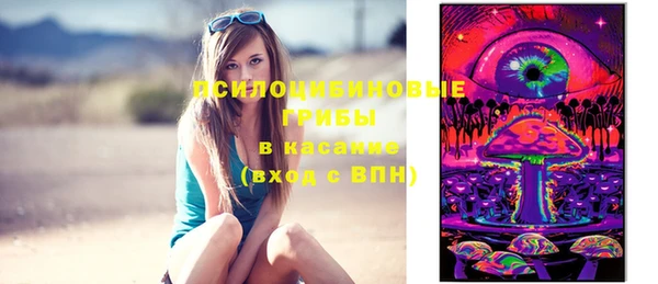 стаф Балахна