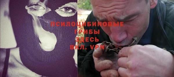 стаф Балахна