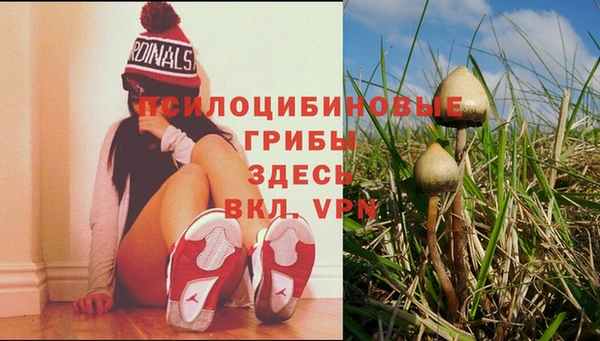 стаф Балахна