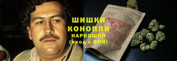 стаф Балахна