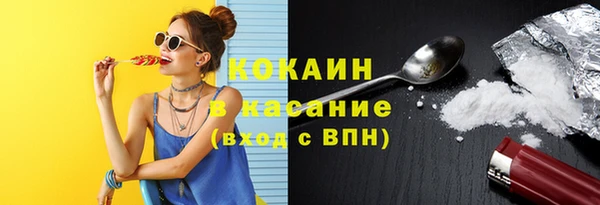 стаф Балахна