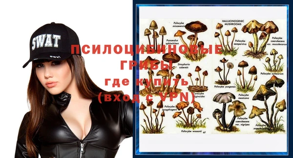 стаф Балахна