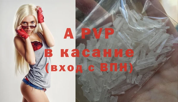 стаф Балахна